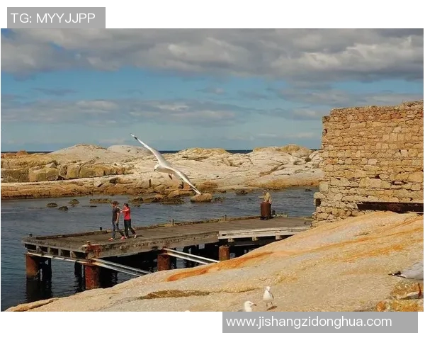 专访陈丽揭秘和平精英成功背后的策略与创新之路实时新闻